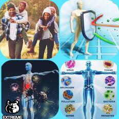 Immuno Complex - Wellmune + Probióticos + Zinco -  Fórmula Manipulada Extreme